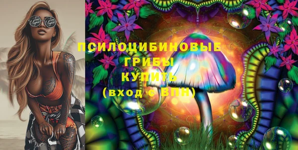 твердый Протвино