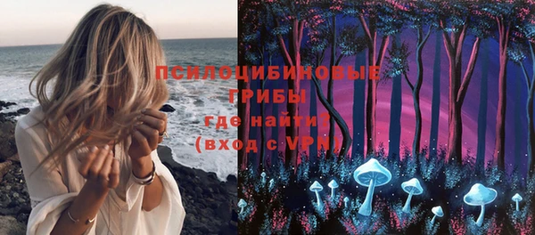 прущие грибы Алексеевка