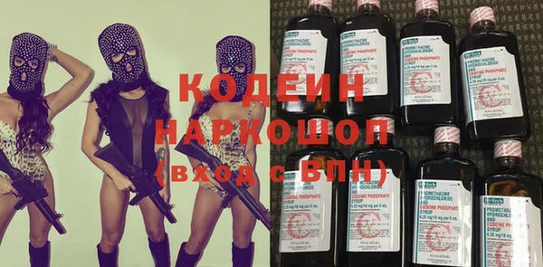 твердый Протвино
