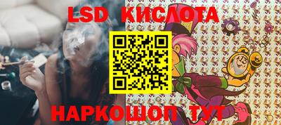 крисы Ирбит