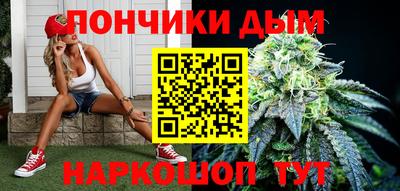 крисы Ирбит
