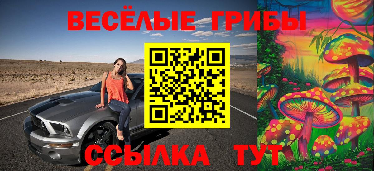 Псилоцибиновые грибы Psilocybe  Вход с VPN  Углич 